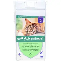 Advantage 80 pour chat et lapin 6x0,8 ml Pipette(S) Unidose(S)