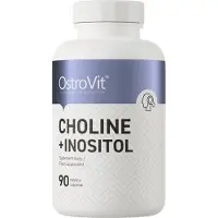 OstroVit Choline + Inositol BI9158