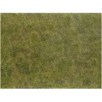 Noch 07254 Couvre-sol paysager Vert, brun