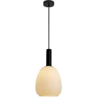 ITALUX Lampe suspendue GATER PND-23541-1-BK-OP