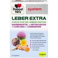 Queisser Pharma GmbH & Co. KG Doppelherz system Leber Extra Gélules avec choline, zinc et extraits de plantes, 120 gélules