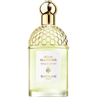 Guerlain - Aqua Allegoria Nerolia Vetiver - Eau De Toilette - 125 ML