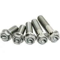 Scar Stimeng250sx Engine Screw Kit Argenté