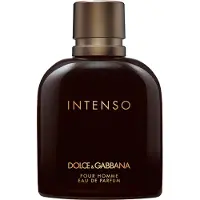 Dolce&Gabbana Dolce & Gabbana Spray Intenso Pour Homme Eau de Parfum