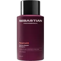Sebastian Penetraitt shampoing pour cheveux abîmés et traités chimiquement 280 ml