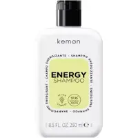 Kemon Shampooing énergisant au ginseng et à la caféine (Shampoing liquide, 250 ml)