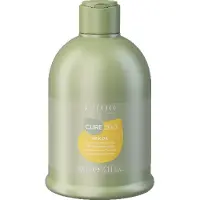 Alter Ego CureEgo Silk Oil Shampoo 300 ml