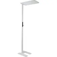 Enovalite Lampadaire de bureau LED à réglage en hauteur avec capteur