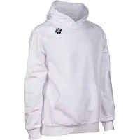 Arena Sweatshirt à capuche Team Panel