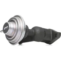 Delphi Vanne EGR EG10423-12B1