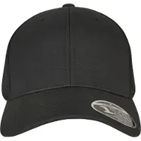 Flexfit Casquette noir