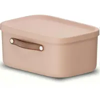 Rotho Boîte de rangement Maloja, 12 litres avec couvercle - Boîte empilable, rose, lot de 1