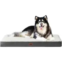 OEM Lit orthopédique pour chien XXL, coussin moelleux lavable, 120 x 74 x 9 cm, beige
