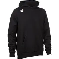 Arena Sweatshirt à capuche Team Panel