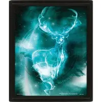 PAN Vision Danmark A/S Poster 3D Lenticular Harry Potter - Expecto Patronum 25x20cm