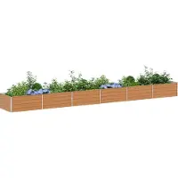 Syfax Jardinière surélevée Marron Clair 600 x 80 x 45 cm