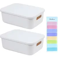 OEM Boîtes de rangement en plastique avec couvercle, peu encombrantes, 28 x 20 x 9,6 cm, lot de 2