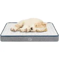OEM Lit pour chien imperméable, 60 x 45 x 7,5 cm, lavable, avec coussin en mousse offrant un bon soutien