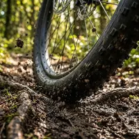 WOLFPACK Pneu Reifen Speed, 27,5 x 2,40 pouces (60-584), noir, TLR, pliable.