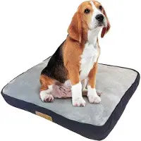 OEM Lit pour chien de 91 cm, bleu et gris, en velours côtelé et Fourrure artificielle