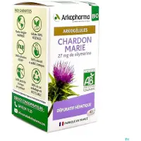 Arkogélules ARKOPHARMA Chardon marie bio 45 pc(s) Capsule(S)