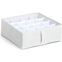 Zeller Organisateur de sous-vêtements NOMAD avec 16 compartiments, 30 × 30 × 11 cm