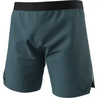 Dynafit Alpine Shorts Bleu L Homme