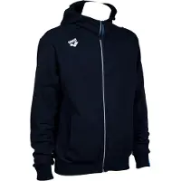 Arena Veste à capuche Team Panel