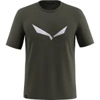 Salewa Solidlogo Dri-release Short Sleeve T-shirt Vert S Homme