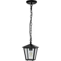 HINKLEY Suspension d'extérieur noire E27 60 W Huntersfield