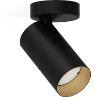 Lyora Spot en saillie inclinable Mono noir avec de l'or