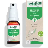 Herbalgem - Figuier Bio - Complément Alimentaire - Extrait De Bourgeon Frais - Pour Digestion - - 15 ml 15 ml Spray