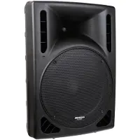 Sonstige Studios IPS-15 enceinte passive 15 pouces intérieur & extérieur