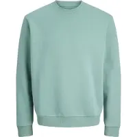 Jack & Jones Bradley Plus Size Sweatshirt Vert 8XL / Regular Homme