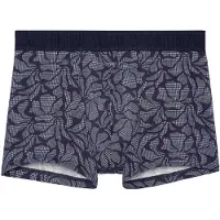 Hom Boxer HO1