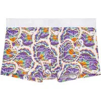 Hom Boxer court