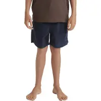 Quiksilver Pantalon 'Taxer' marine