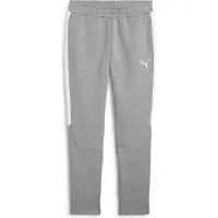Puma Pantalon de sport 'teamEvostripe' gris / blanc