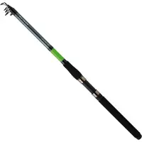 Daiwa Sensor Tele Boat Bottom Shipping Rod Noir 2.70 m / 50-250 g
