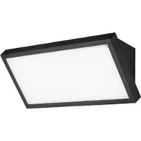 Rabalux Noir Luminaire à LED Rapla2 18W IP65 CCT 77150
