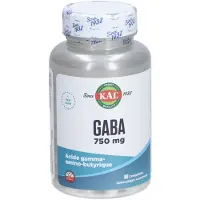 Kal - Gaba 750 mg 90 pc(s) Comprimé(S)