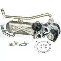 Delphi EG10432-12B1 EGR klep