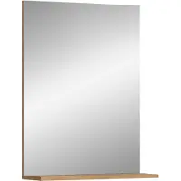 Ebuy24 Scout miroir de salle de bain 1 porte, 1 étagèreReproduction sauge, chêneReproduction.