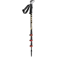LEKI 170 cm