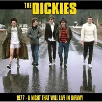 Import A Night That Will Live In Infamy 1977