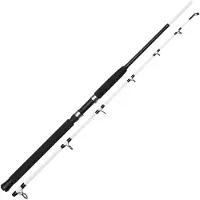 Kinetic Witcher Salt Cc Sea Trolling Rod Argenté 1.80 m / 100-400 g
