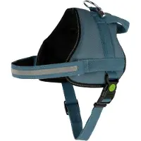 Kerbl Harnais pour chien Maestro 2.0, 64 - 90 cm x 25 mm, turquoise,