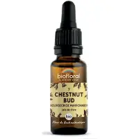 Biofloral 07 - Chestnut Bud - Bourgeons marronnier - 20 ml 20 ml Goutte(S)