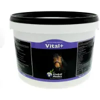 Global Medics Vital +PDR 1 kg Poudre