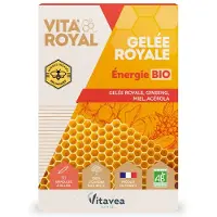 Vitavea VITA'ROYAL Gelée royale Energie Bio 10 pc(s) Ampoule(S) Buvable(S)
